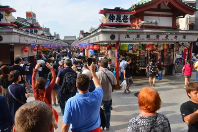 DSC_3455 (Large).JPG